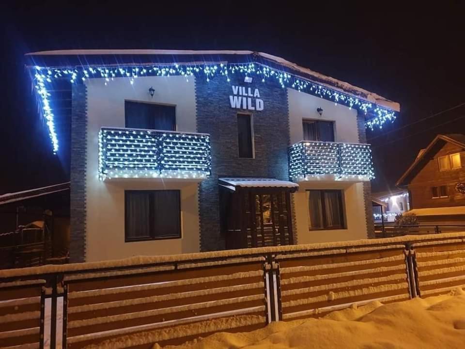 Villa Wild Petroşani Extérieur photo